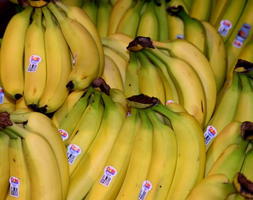 Bananas For Sale