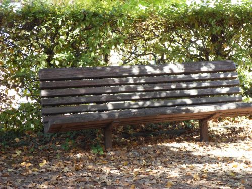 Bench In A Park