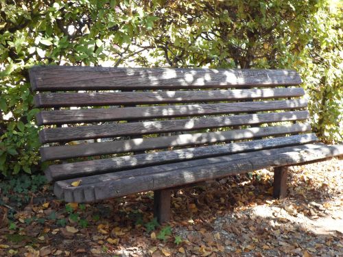 Bench In A Park