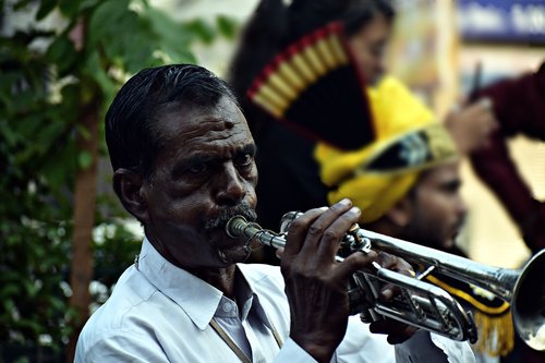 band musician  band-walla  music