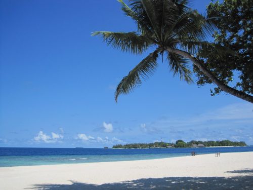 bandos maldives beach