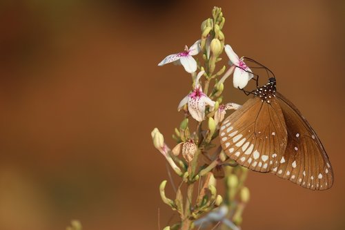 bangalore  karnataka  places