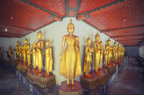 bangkok buddha temple