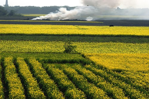 bangladesh  landscape  colourful