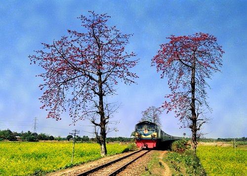 bangladesh  train  landscape