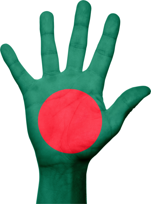 bangladesh flag hand