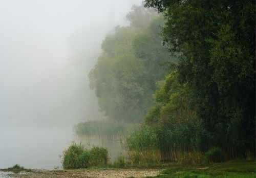 bank fog water