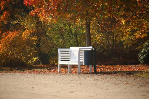 bank park bench autumn