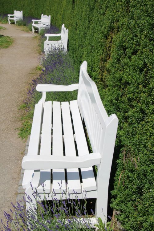 bank park bench white