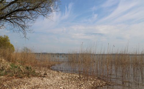 bank reed lake