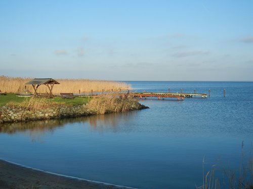 bank  water  reed