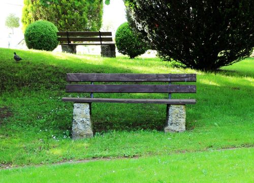 bank bench nature