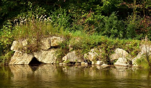 bank  riverside  nature