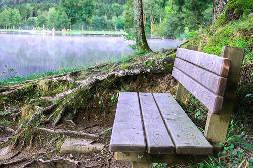 bank  lake  wooden bench