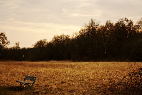 bank evening rest