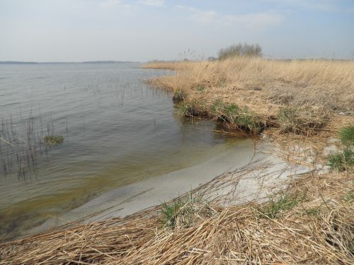 bank water landscape