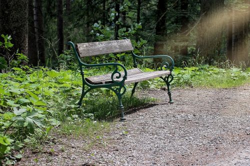 bank bench wooden bench