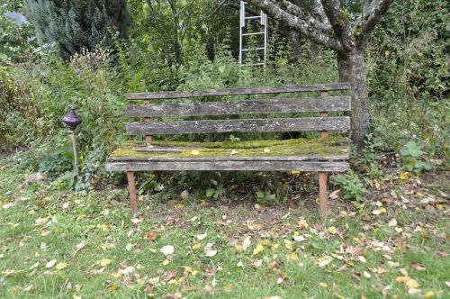 bank garden nature