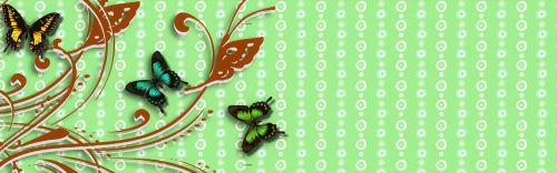 banner header butterfly