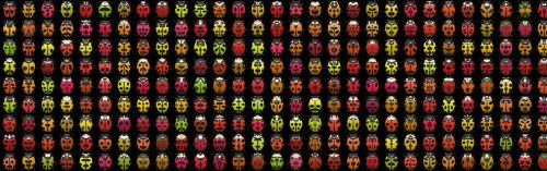 banner header beetle