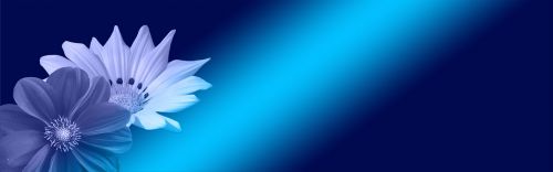 banner header flower blue
