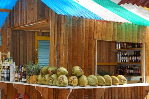 bar coconuts coco loco