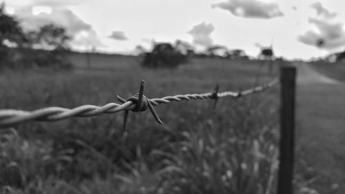 barb wire fence black and white