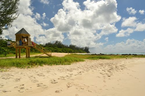 barbados beach beach hut