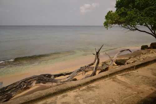 barbados sea coast