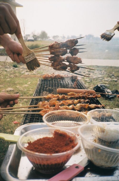 barbecue picnic spring