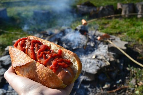 barbecue hot dog fireplace