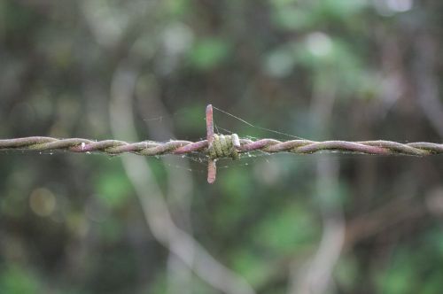 barbed wire closing