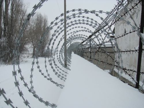 barbed wire winter