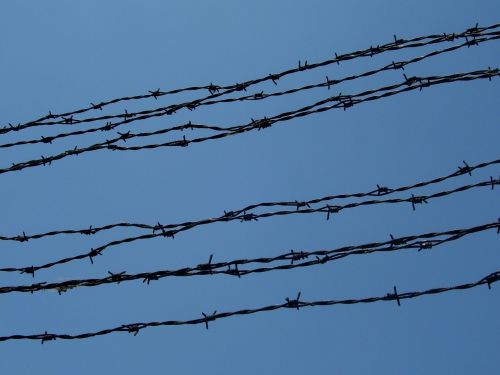 barbed wire bondage prison