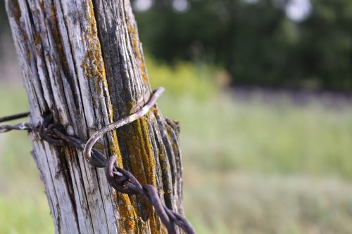 barbed wire fence post