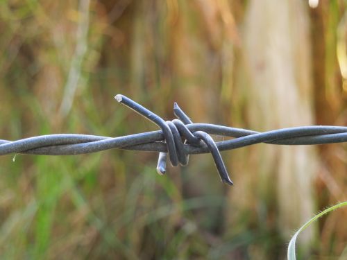 barbed wire close up macro