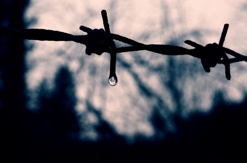 barbed wire drip mirroring