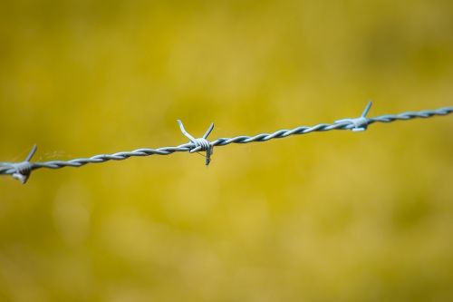 barbed wire fence wire