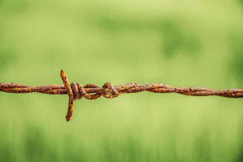 barbed wire rust old