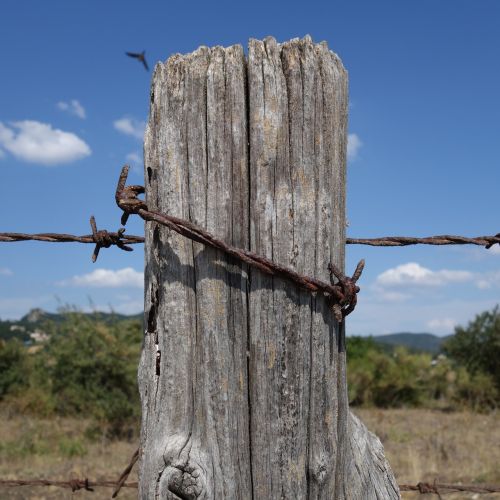 barbed wire post rusty
