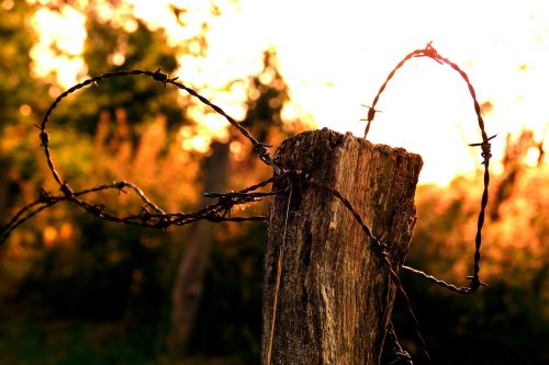 barbed wire evening sunset