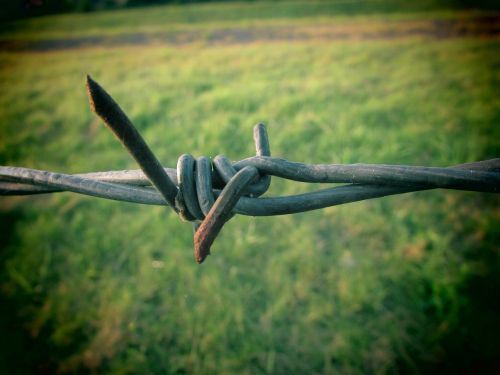 barbed wire stainless demarcation