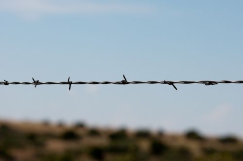 barbed wire fence sharp