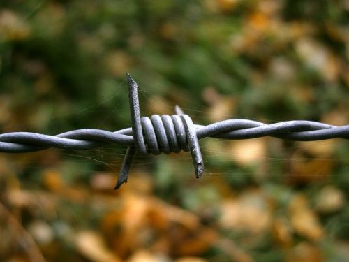 barbed wire wire cobweb