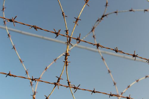 barbed wire wire security