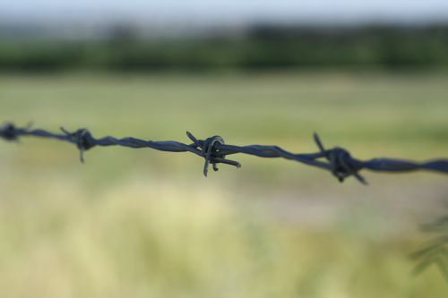 barbed wire cambo