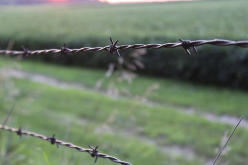 barbed wire fence wire