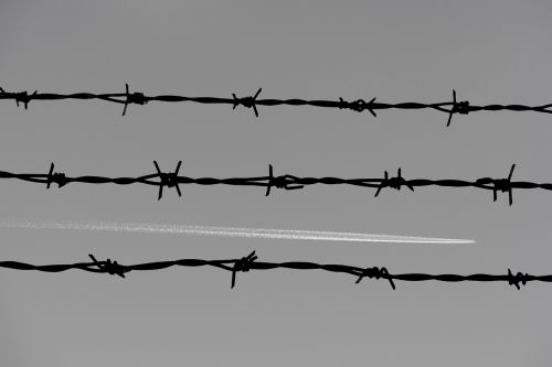 barbed wire fence prison