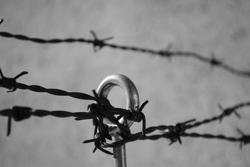 barbed wire  security  prison
