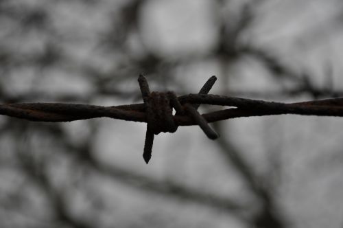 barbed wire metal rods